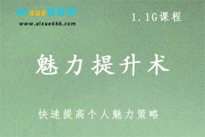 个人魅力提升术,1.1G课程百度网盘下载,个人魅力快速提升/快速吸引异性/追求爱情秘籍