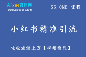 落·地实操的小红书精准引流操作方案,一步步执行轻松爆流上万视频教程,55.0MB百度网盘打包下载