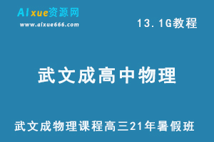 武文成物理课程高三21年暑假班,13.1G课程百度网盘打包下载，高中物理/高考物理教学视频