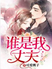 【谁是我丈夫】 百度网盘打包下载，都市爱情小说/言情小说/情爱小说/爱情小说