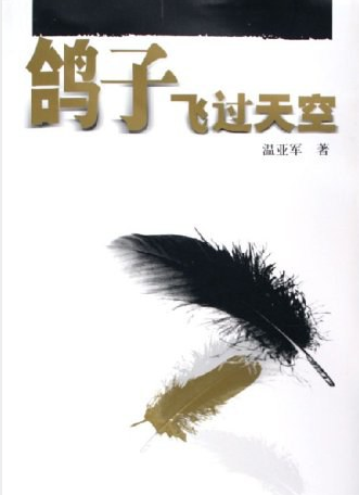 【鸽子飞过天空】 百度网盘下载，txt免费下载