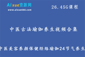 迷罗中医古法瑜伽养生视频合集 中医美容养颜保健经络瑜伽24节气养生,26.45G课程百度网盘打包下载