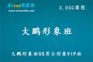 大鹏形象班OS男士形象设计VIP班教程,3.05G百度网盘资源打包下载