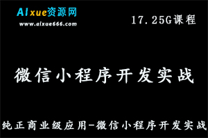 纯正商业级应用程序开发微信小程序开发实战教程，17.25G百度网盘资源打包下载