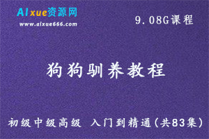 狗狗驯养教学课程初级中级高级 入门到精通(共83集)，百度网盘资源打包下载