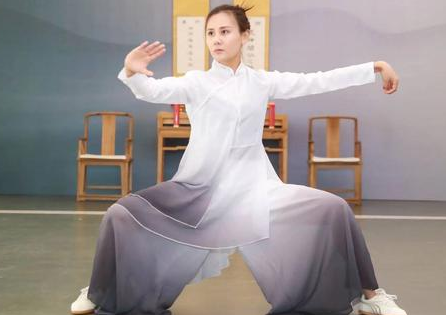 零基础入门到精通太极拳教学陈氏太极拳教学视频教程全集，97.97G百度网盘资源打包下载