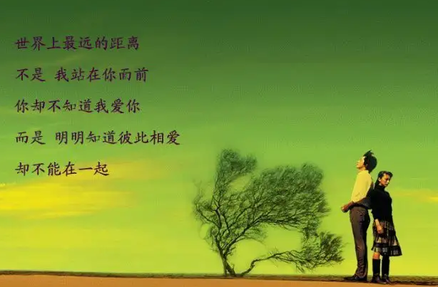 爱情诗选-15集MP3，百度网盘打包下载