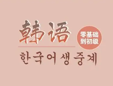 林老师韩语课程入门到精通教学视频