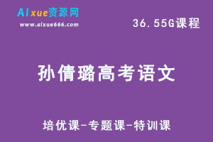学魁榜孙倩璐高考语文视频教程+讲义（培优课-专题课-特训课）