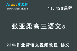 2023张亚柔高中语文s教程全年班高考语文视频教程+讲义（暑假班）