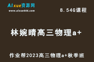 2023林婉晴高三物理a+秋季班视频教程+讲义-高考一轮复习网课资源下载