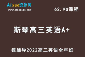 高中英语网课教程猿辅导2022斯琴高三英语A+班高考复习视频教程+讲义全年班（暑假+秋季+寒假+春季）