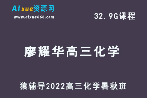 高中化学网课教程猿辅导2022廖耀华高三化学a+班高考一轮复习视频教程+讲义（暑假班+秋季班）