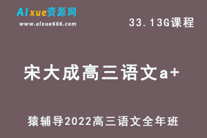 高中语文网课教程猿辅导2022宋大成高三语文a+班高考复习视频教程+讲义全年班（暑假班+秋季班+寒假班+春季班）