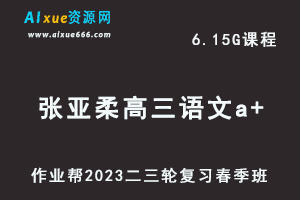 2023张亚柔高三语文a+视频教程+课堂笔记高考语文二三轮复习春季班