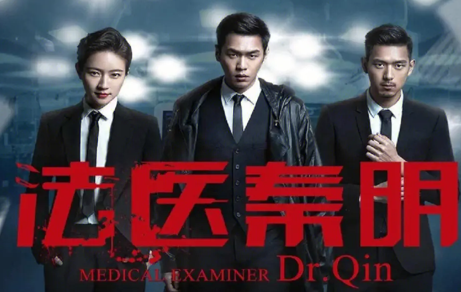 有声小说 法医秦明百度网盘打包下载