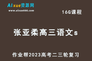 2023张亚柔高三语文s（寒假班+春季班）23年高考语文二三轮复习视频教程+课堂笔记