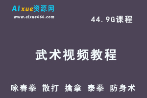 武术视频教程大全-武术 咏春拳 散打 擒拿 泰拳 防身术教学