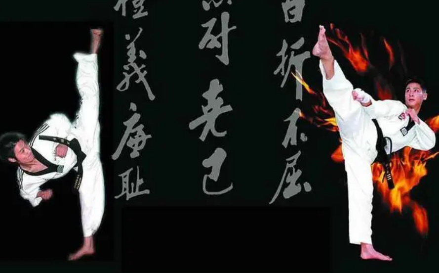 泰拳跆拳道教程