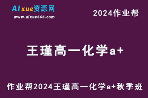 2024王瑾高一化学a+秋季班视频教程+课堂笔记
