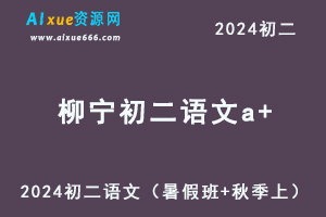 2024柳宁初二语文a+视频教程+课堂笔记+讲义（暑假班+秋季班）