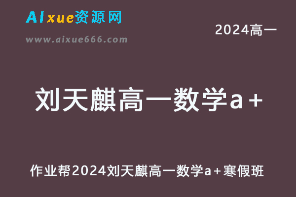 2024刘天麒高一数学a+寒假班网课教程