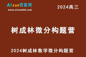 2024树成林数学微分构题营网课教程
