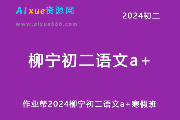 2024柳宁初二语文a+网课教程寒假班