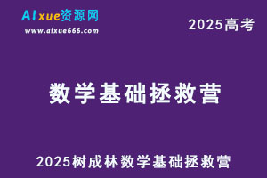 2025树成林数学基础拯救营