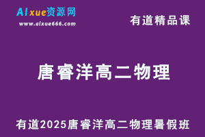 有道2025唐睿洋高二物理上学期暑假班网课教程