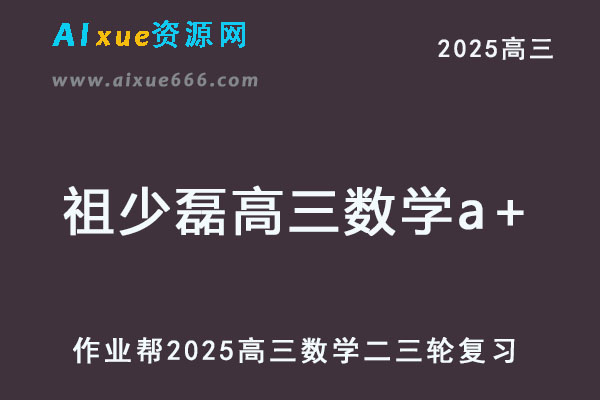 2025祖少磊高三数学a+二三轮复习寒春班网课教程